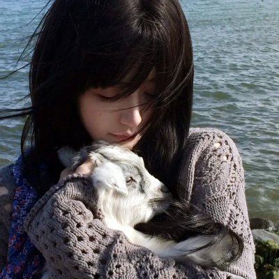 猫狗大战3：毛小孩大联盟！